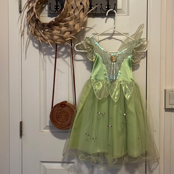 Disney Other - Tinkerbell Disney Costume